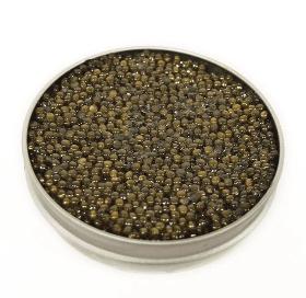 Caviar de béluga