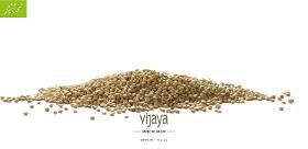 Graine de Quinoa - FRANCE - 25 Kg - Bio*