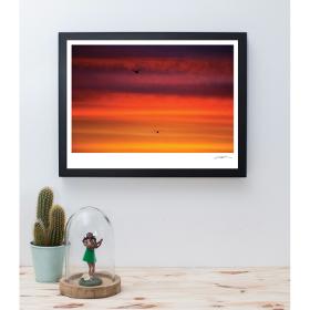 Photographie Sunset Mouette par Travel to Publish