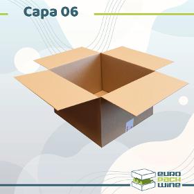 Carton Capa-06
