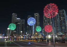 Dandelions (Pissenlits ) – Dubaï, Émirats arabes unis (EAU)