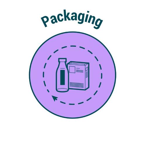 Module Packaging