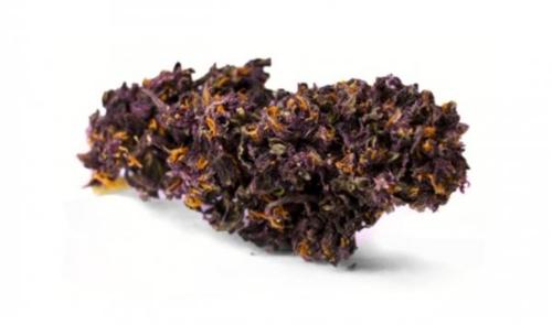 Fleur de CBD Big Daddy Purple OUTDOOR