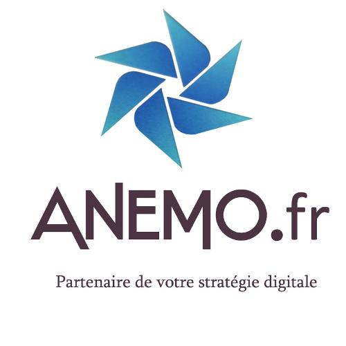 ANEMO  Agence Web partenaire dans votre stratégie digitale
