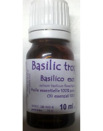 Basilic Tropical