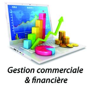 Gestion Commerciale et financière
