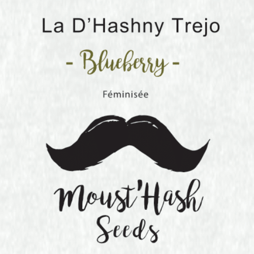 La D'hashny Trejo - Blueberry