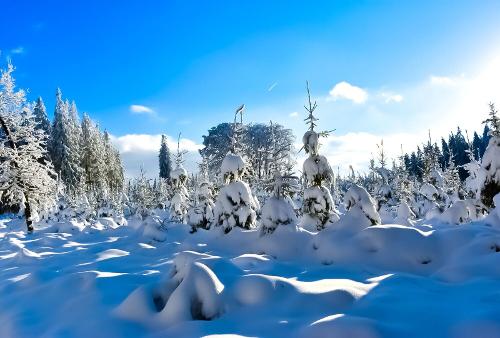 Les Ardennes en hiver