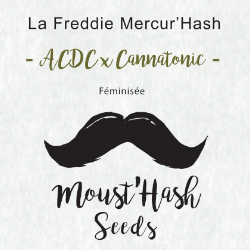 La Freddie Mercur’hash - Acdc X Cannatonic Cbd