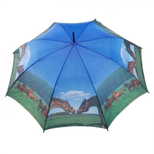 Parapluies originaux - Site Jimdo de parfi!