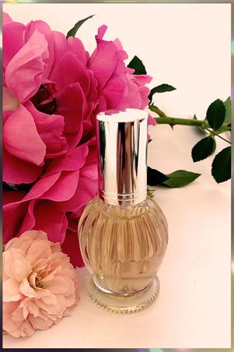 Parfum Night & Day concentration 30% aux fleurs de Grasse