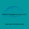 PERFECT GLOBAL GROUP SAS
