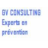 GV CONSULTING