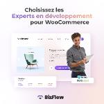 WooCommerce - Expert en développement