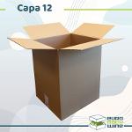 Carton Capa-12