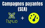 Campagnes payantes (SEA)