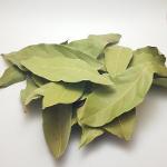 Feuilles de laurier, Laurel leaf, Bay leaf