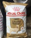 Royal Canin Adult Labrador Retriever