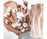 Bouquet de fleurs de coton
