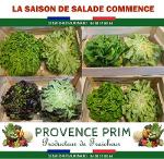 Salade tendre origine France