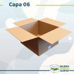 Carton Capa-06