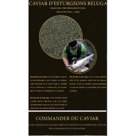 Caviar d'esturgeon beluga de Bulgarie