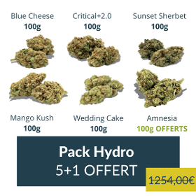 Pack 6 Fleurs Hydro CBD - 500g + 100g OFFERTS