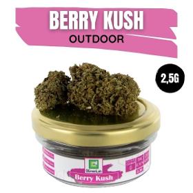 Berry Kush Out Fleurs Cbd Outdoor