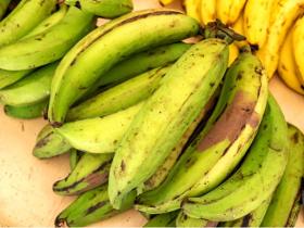 Import-export bananes plantain