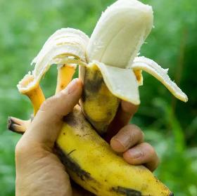 Banane Cavendish fraîche