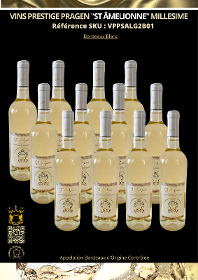 1000 Btles Vin Bordreaux Blanc Millésime Prestige "St ÂMELIONNE" G2 (75 cl)