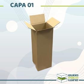 Carton Capa-01