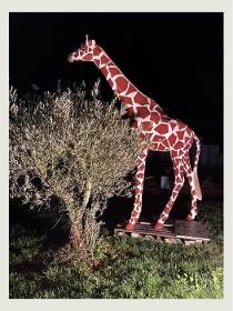 Girafe en résine 320 cm