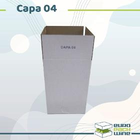 Carton Capa-04