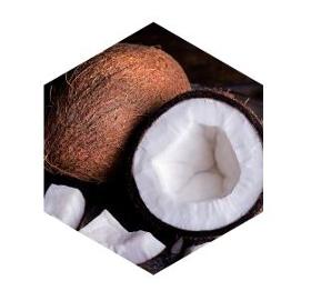 L’huile de coco (coprah)