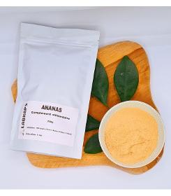 Ananas Poudre - 250 G