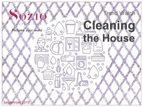"Cleaning the house"
